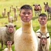 🎥蔡進炮🦾探險粉絲💀