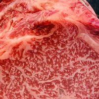 ผู้ชื่นชอบ dry aged beef & steak