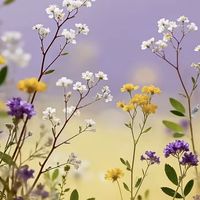 ภาพออเดอร์สำรอง