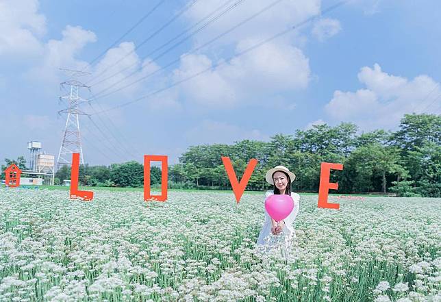 ▲埤頭韭菜花田。(圖/IG @hangon)