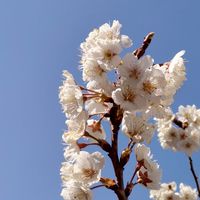 ♡同じ空の下で♡皆で話そッ💜