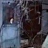 廃墟心霊話し