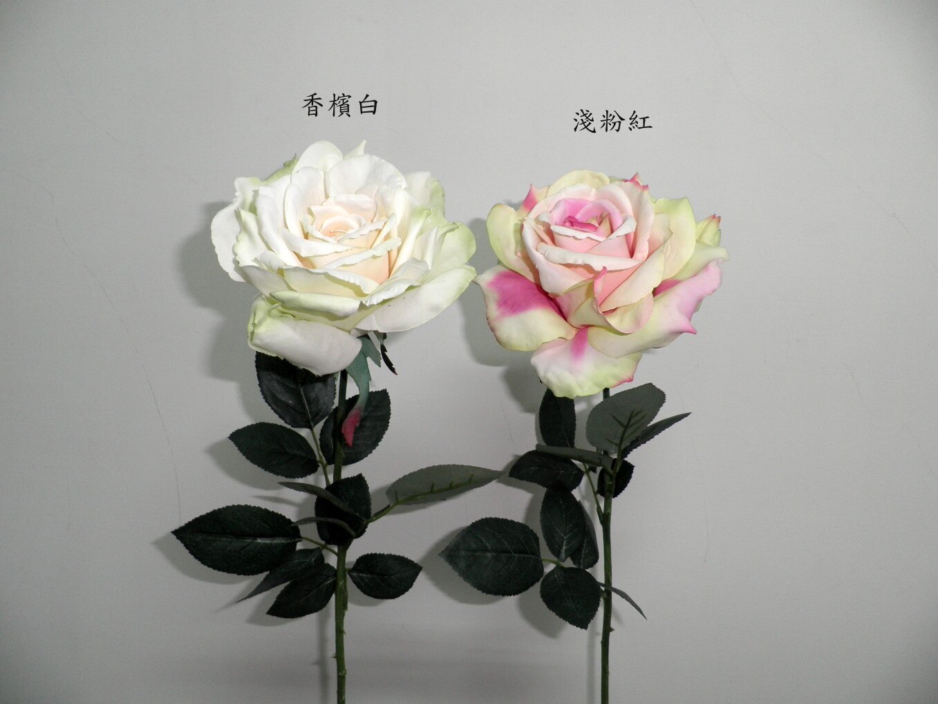 ★超低價★皇后大玫瑰-淺粉紅 / 人造花 空間 景觀 佈置 造景