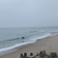 釣果情報　【茨城、福島】