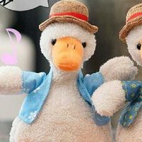 สินค้านำเข้าจากจีน by PAEYAH