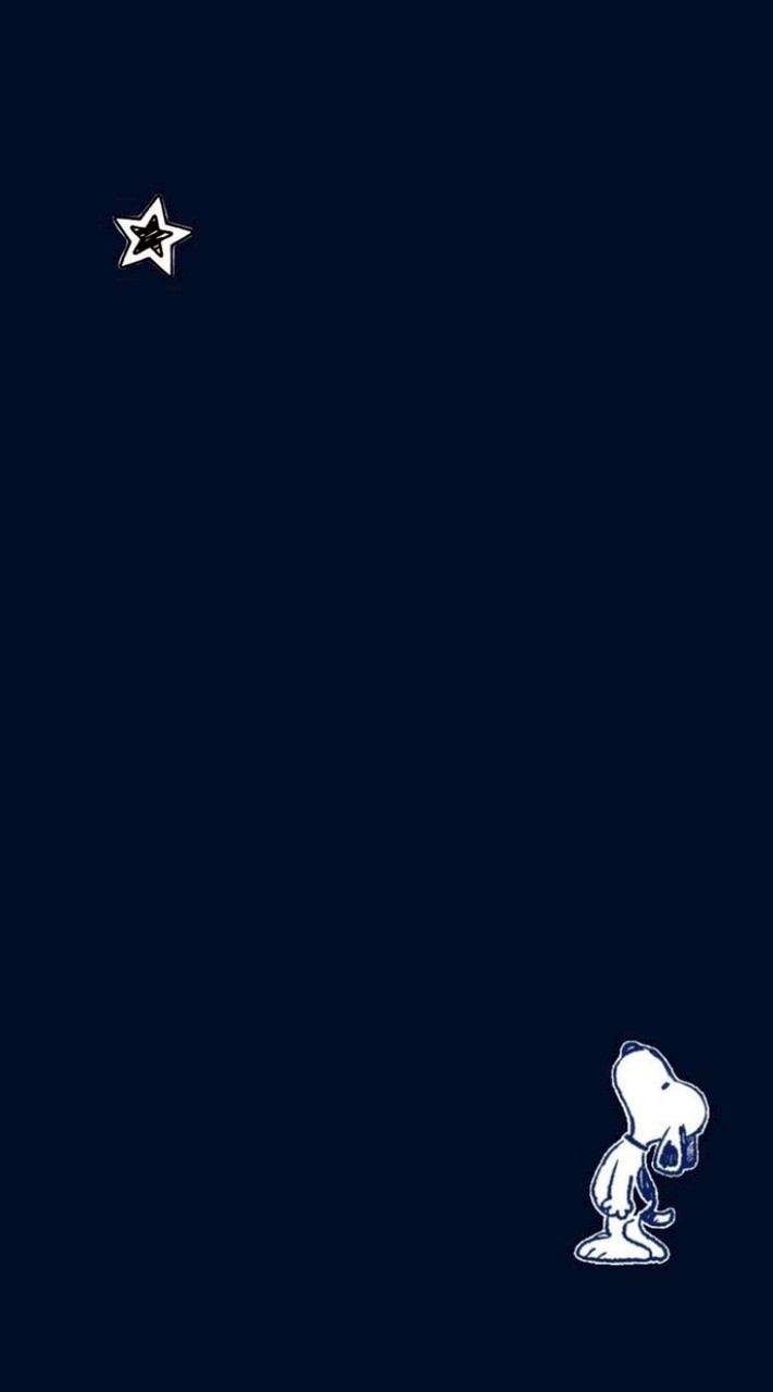 The Fictional Orbit of Sasina