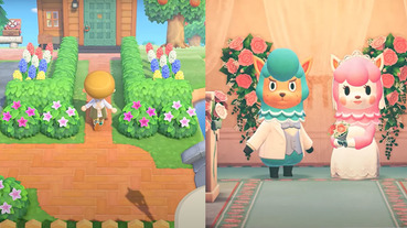 《集合啦！動物森友會！》最新情報懶人包 博物館擴建、當婚攝小幫手