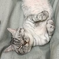 另類柑仔店~~歡迎進來參考看看