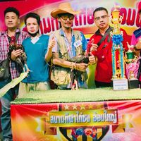 ซุ้มไก่ชนเพชรไทรทอง