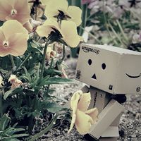 365日のダンボー（よつばと！）
