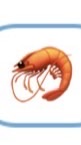 🦐蝦瞎俠🦐