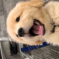愛護小動物～別讓他們被欺負！