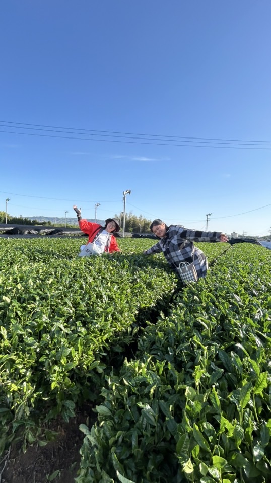 Matcha Club Market