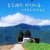 仁愛鄉高山蔬果宅配