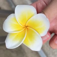 Pccu板橋社大（實踐校區）志工夥伴