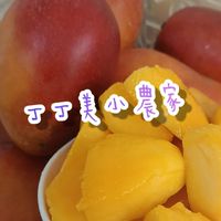 丁丁美🥭小農家