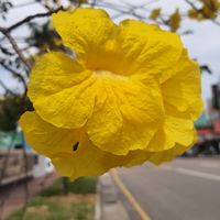 美誼泳票 論壇（限量）