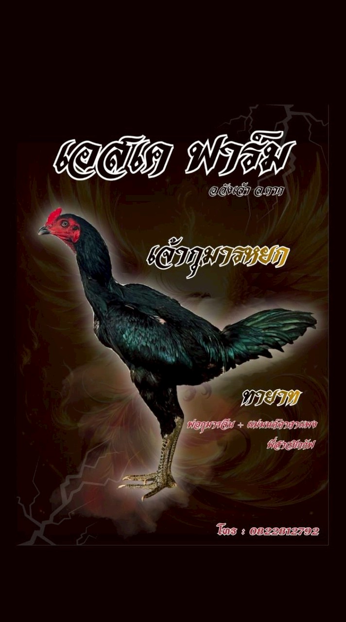 เอสเค ฟาร์ม