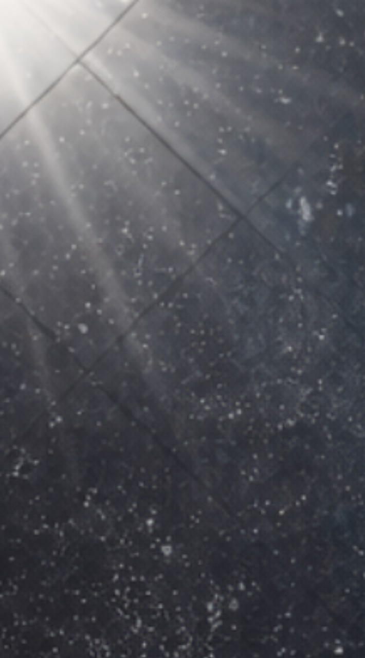 Casual ประจำทีม(วันดี บริการ1)