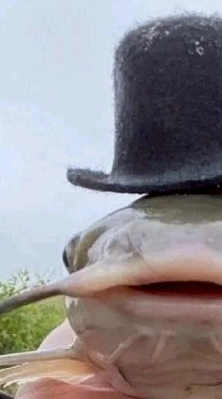 ไข่ปลาดุกฟู