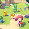 ぽこあポケモンひろば
