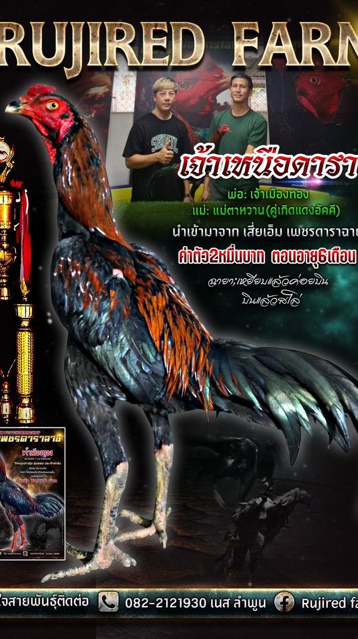 รุจิเรศ ฟาร์ม ลำพูน 🥁🥁
