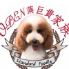 OPEN蔣巨貴家族🐩