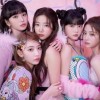 大阪20.30代メイン🌐k-popダンスサークル💗🐰나랑 같이 춤 추자❤︎❤︎❤︎