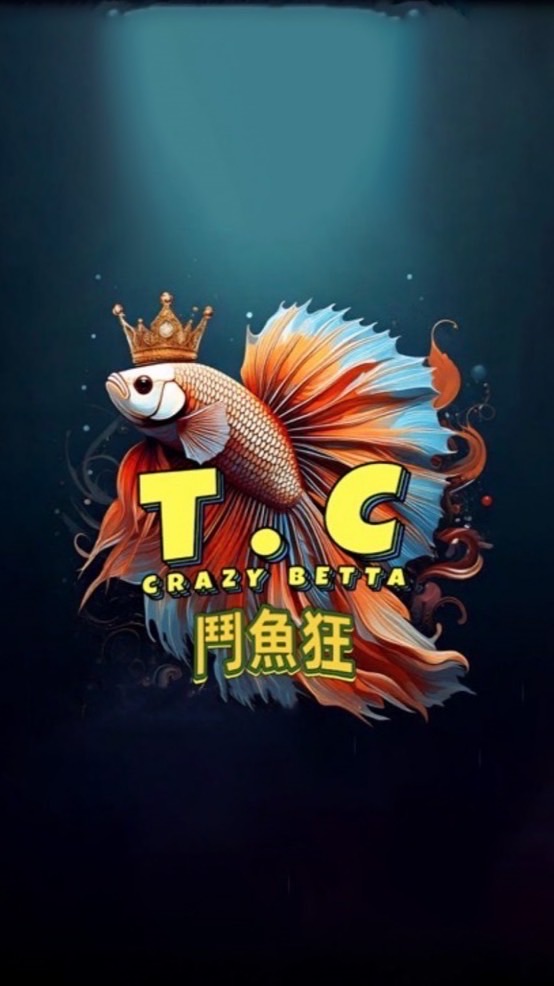 T.C 鬥魚狂-泰國展鬥交流分享