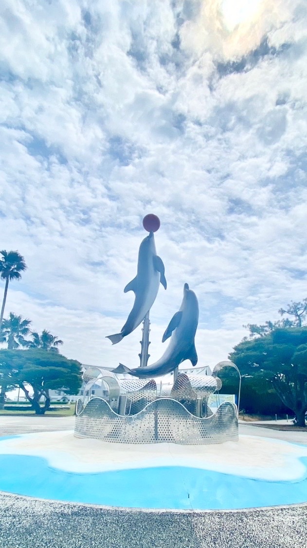 👑みんなで楽しく歌って雑談しよ〜🐬