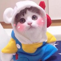 喜欢猫的可以进