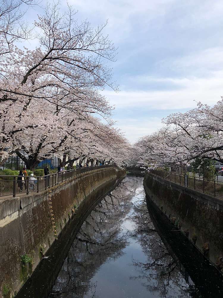 Dcmくろがねや 成城店 ディーシーエムクロガネヤセイジョウテン 成城 成城学園前駅 ホームセンター By Line Place