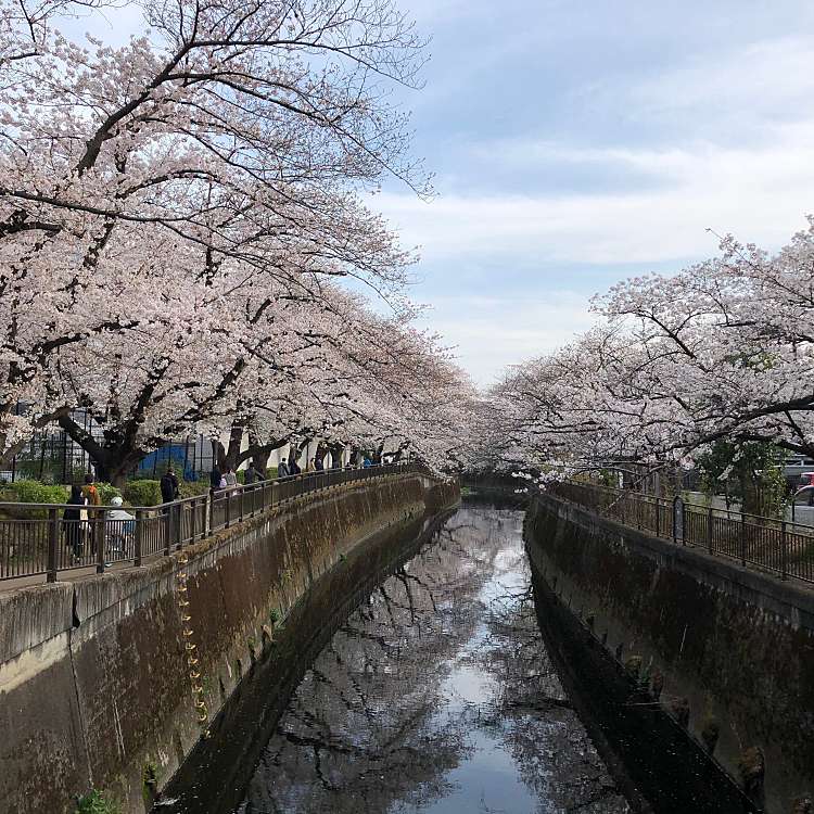 Dcmくろがねや 成城店 ディーシーエムクロガネヤセイジョウテン 成城 成城学園前駅 ホームセンター By Line Conomi