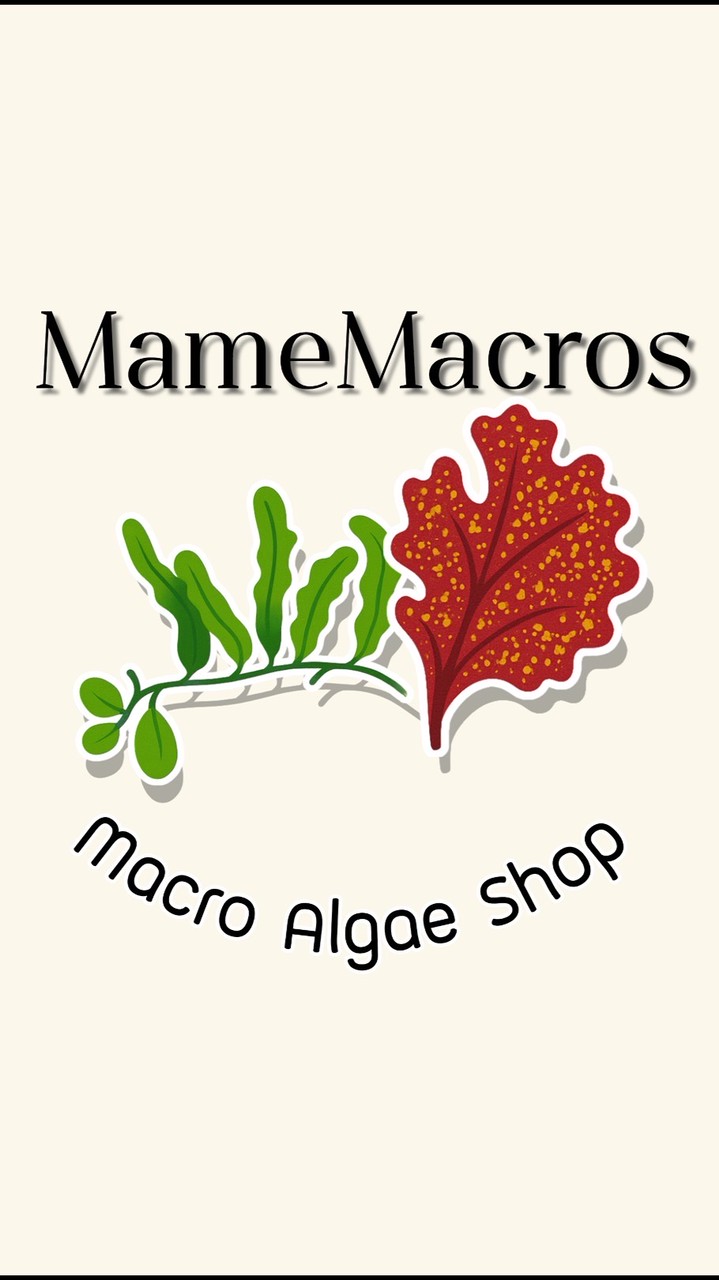 MameMacros สาหร่ายทะเลสวยงาม