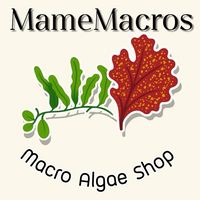 MameMacros สาหร่ายทะเลสวยงาม