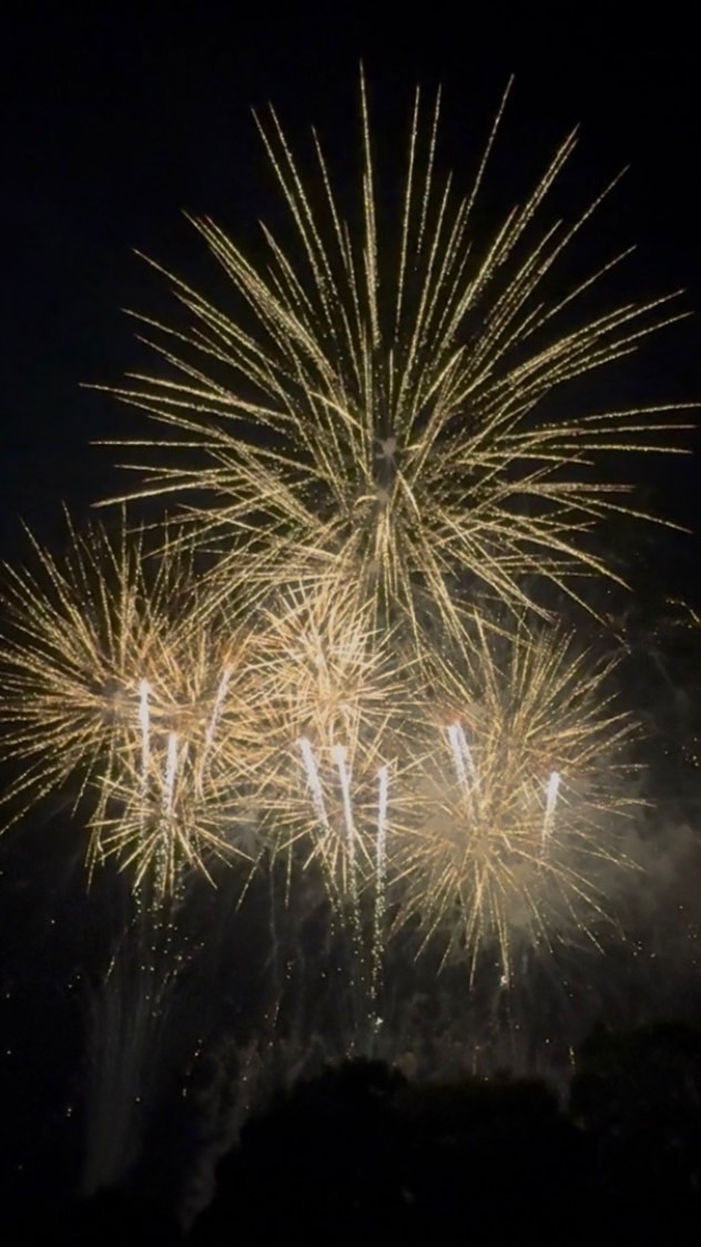 あいなん祭り2026