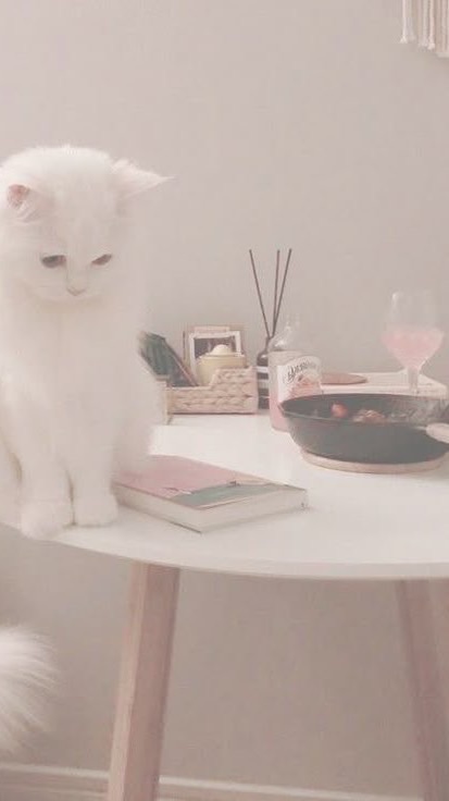 ｡˚.𐙚棠 鮭の戀愛日記📓₊ ˚‧ ♡̷̷̷