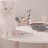 ｡˚.𐙚棠 鮭の戀愛日記📓₊ ˚‧ ♡̷̷̷