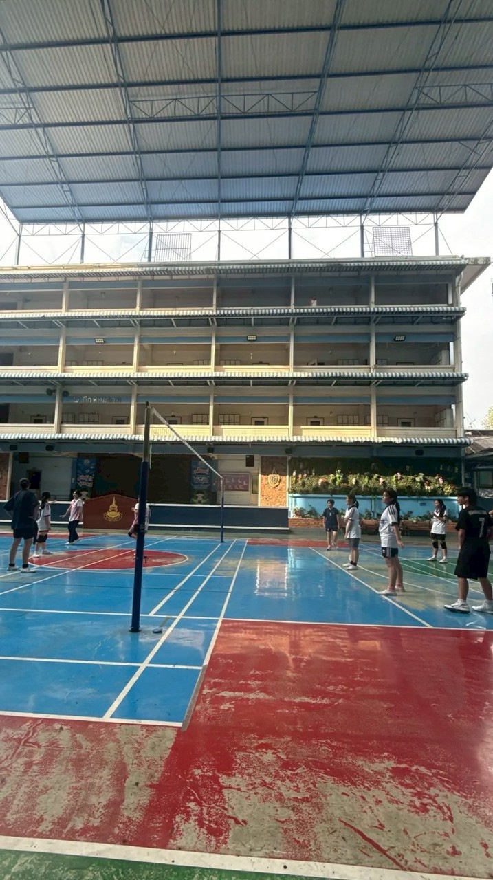 วอลเลย์บอลสีม่วง