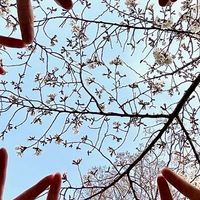 関西独身♡45から55までWEST