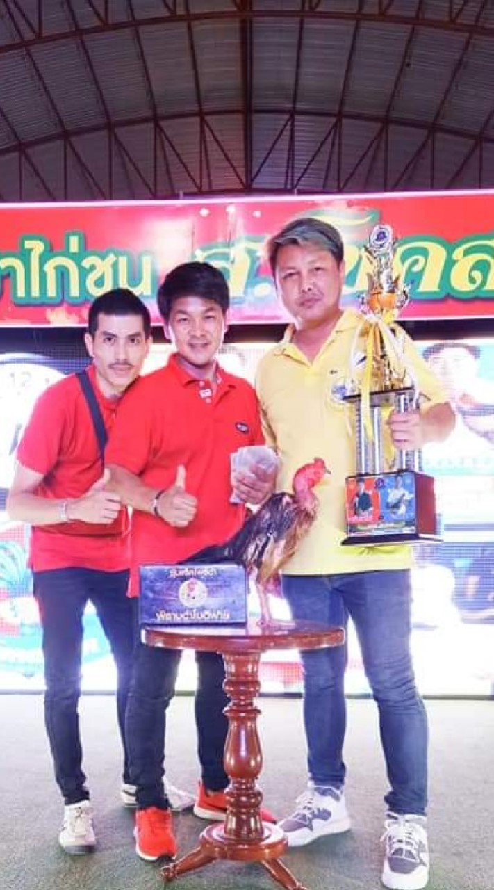 TeamพิราบดำAcademy