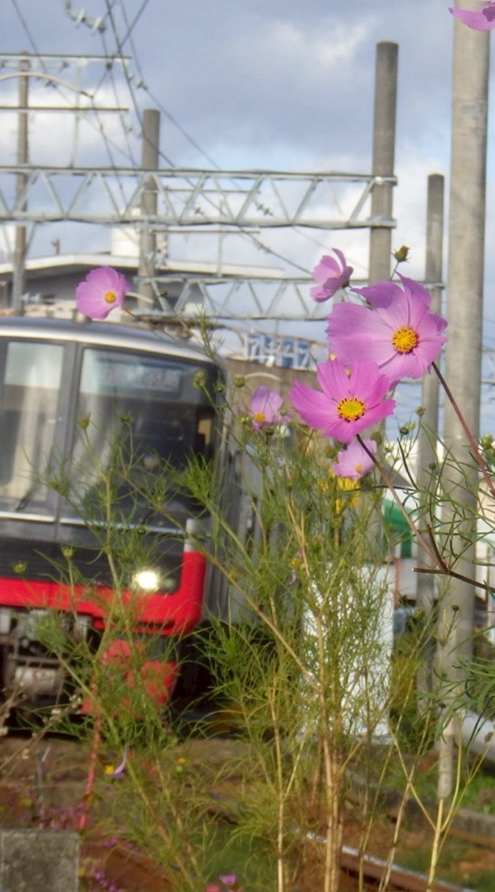 名鉄.鉄道を撮るのが好きな人集まれー