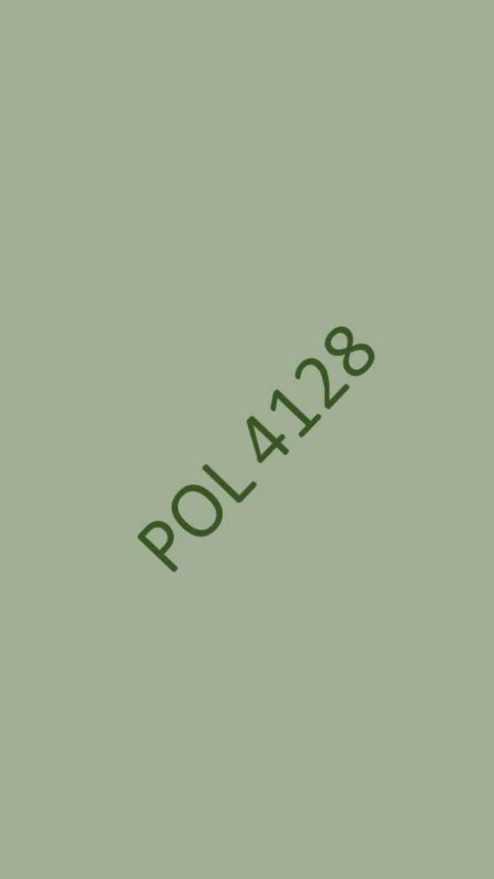 POL4128