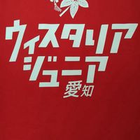 920ウィスタリアJr練習会