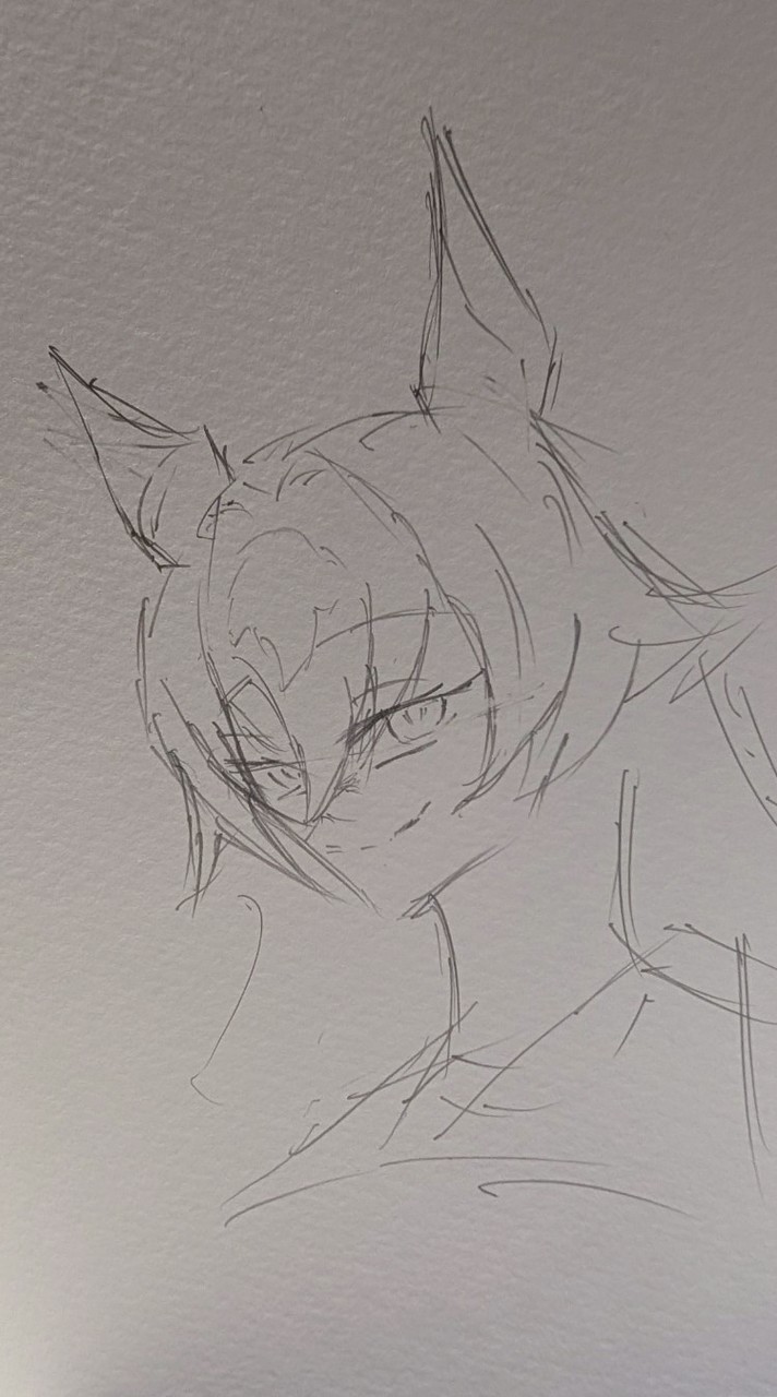 アルさんち