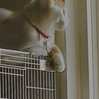 動物攝影區