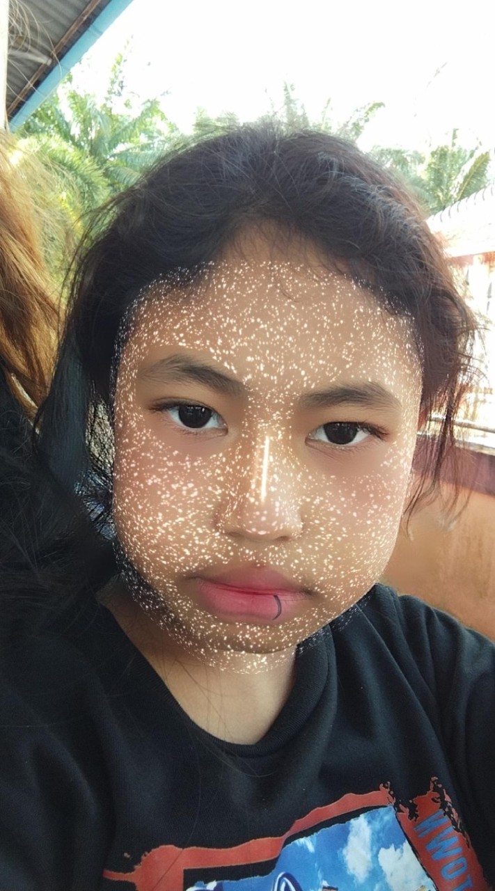 กลุ่มแมลงสาบ