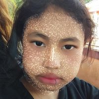 กลุ่มแมลงสาบ