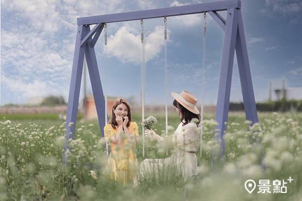 賞九月雪花海這裡 1 雪白韭菜花田鞦韆美景太浪漫 景點家 Line Today