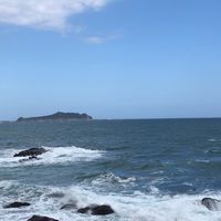 休鳩來七投
